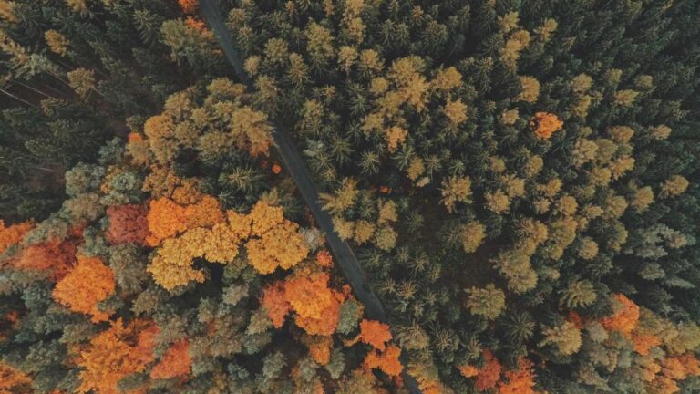 How To Use Https 11Xplay Pro Login App Properly?